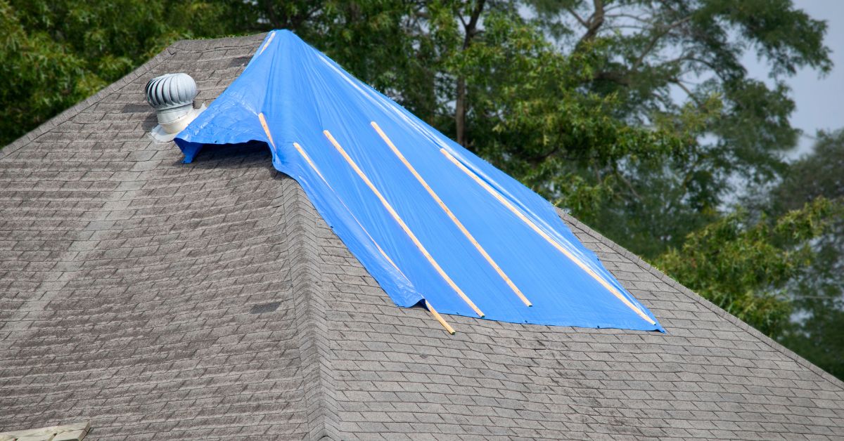 shingle roof with tarp covering hole in roof that needs repaired